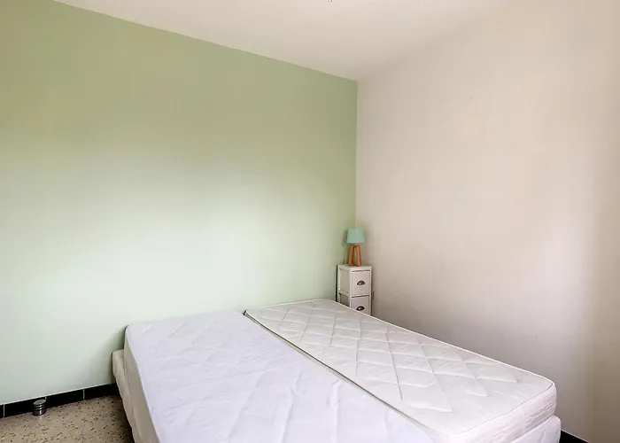 2 Pieces Renove Proche Avec Loggia Vitree, Tv, Local Velos Et Parking - Fr-1-715-66 Apartamento
